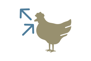 Oral Transmission Routes