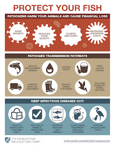 Protect Fish infographic